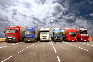 gallery/1720021612575fd4f7caede0.21759703